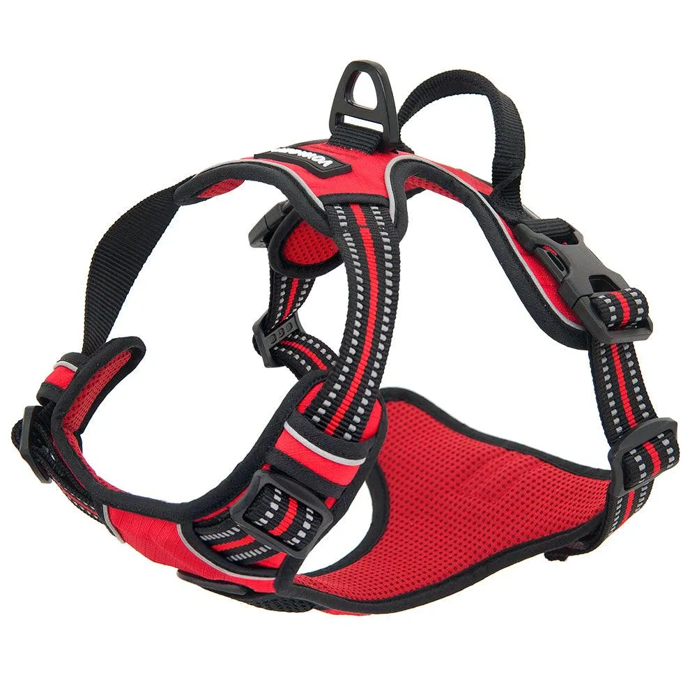 Valentine Dual-Attachment Dog Harness