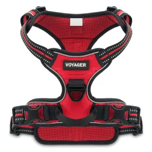 Valentine Dual-Attachment Dog Harness