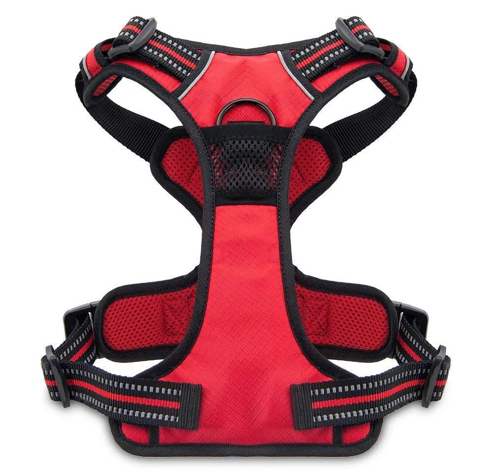 Valentine Dual-Attachment Dog Harness